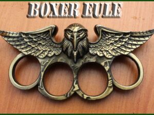 Bronz boxer Eule .